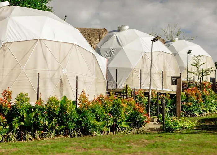 La Joya Farm &